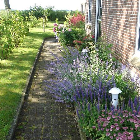B&B Op De Vlakte Oosternijkerk Luaran gambar