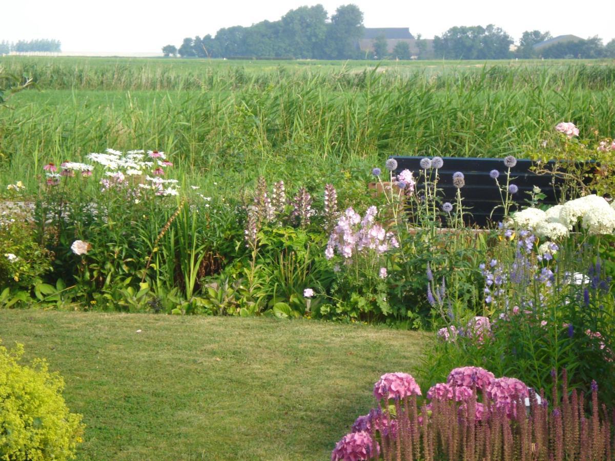 B&B Op De Vlakte Oosternijkerk Luaran gambar