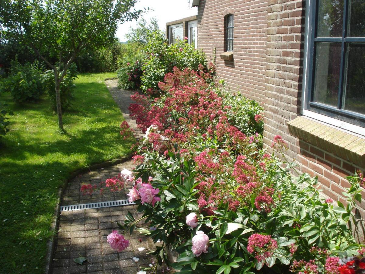 B&B Op De Vlakte Oosternijkerk Luaran gambar